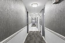 2bdrm Apartment for Rent - 15 Dundonald Street - Photo 4