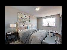 2bdrm Apartment for Rent - 15 Dundonald Street - Photo 12