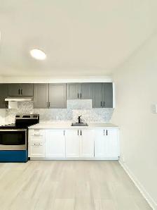 1 CH - 1 SDB - Montréal - $1,400 /mo - Photo 2