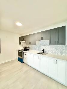 1 CH - 1 SDB - Montréal - $1,400 /mo - Photo 3