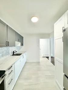 1 CH - 1 SDB - Montréal - $1,400 /mo - Photo 4
