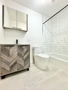 1 CH - 1 SDB - Montréal - $1,400 /mo - Photo 10