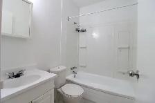 2 Bedroom Sandy Hill  - Downtown/Ottawa U/Market - Photo 4