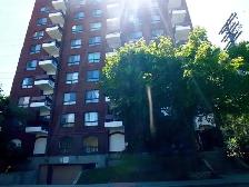 2 Bedroom Sandy Hill  - Downtown/Ottawa U/Market - Photo 5