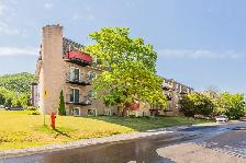 51/2,3,chambres,bedrooms,louer,rent,Mont-Saint-Hilaire - Photo 9