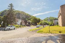 51/2,3,chambres,bedrooms,louer,rent,Mont-Saint-Hilaire - Photo 10