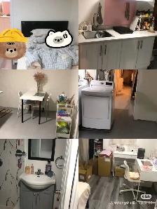 basement one bedroom apartment for rent September - Photo 7