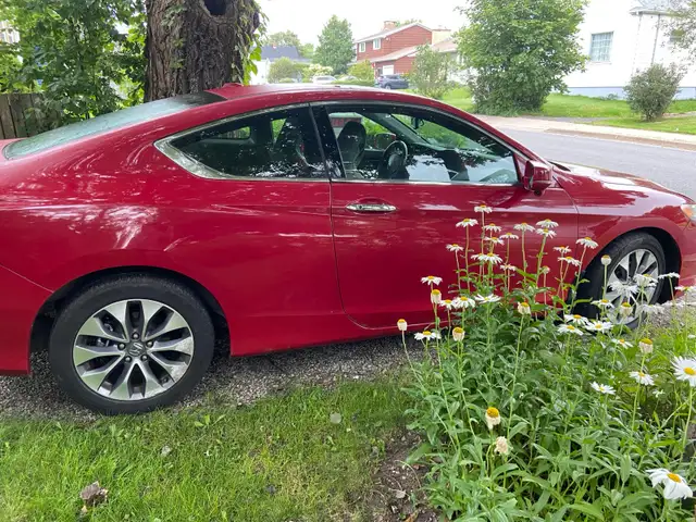 2013 accord coupe
