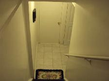 Basement apartment for rent near Markham Road/Denison Road - Photo 2