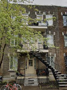 Magnifique 3 1/2 sur le Plateau, appartement à louer, Mont-Royal