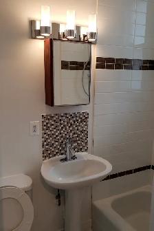 Magnifique 3 1/2 sur le Plateau, appartement à louer, Mont-Royal - Photo 10