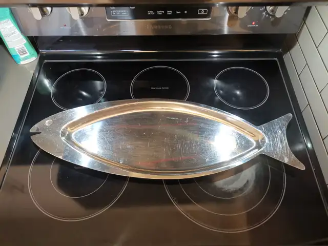 Big Stainless SBig Stainless Steel Large Fish Type Party Tray