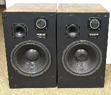 Accusound ASX-39 PL floor standing speakers (A Pair)
