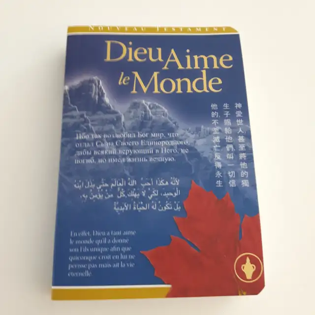 LIVRE NEUF FRANCAIS ADULTE, DIEU AIME LE MONDE, 640PAGES: $5.00