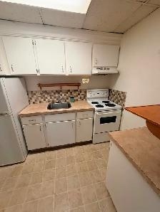 PENTICTION DOWN TOWN 1 BR 1 BATH, WALK TO OKANAGAN LAKE: - Photo 3