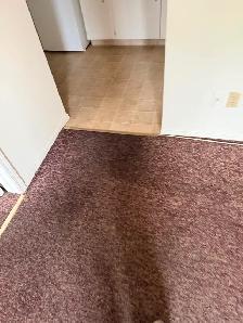 PENTICTION DOWN TOWN 1 BR 1 BATH, WALK TO OKANAGAN LAKE: - Photo 8