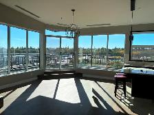 Prince Albert’s Premier 55  Penthouse Suite - Photo 15