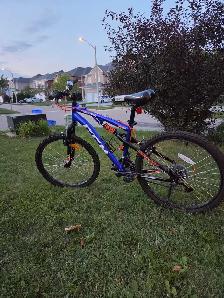 SAUAGE.   CCM 24 MOUNTAIN BIKE for $ 150.00 - Photo 2