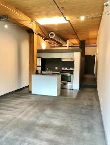 ✨&nbsp.NYC STYLE LOFT | EXCHANGE DISTRICT ✨ - Photo 2