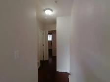 SPACIOUS – RENOVATED – PET FRIENDLY - Photo 4