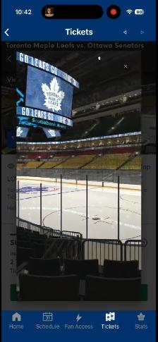 Toronto Maple Leafs Items