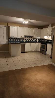 2 BR Walkout Basement Apartment Rent in Prime Location Newmarket - Photo 2