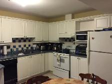 2 BR Walkout Basement Apartment Rent in Prime Location Newmarket - Photo 3
