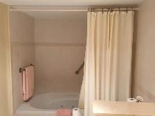 2 BR Walkout Basement Apartment Rent in Prime Location Newmarket - Photo 9