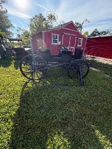 horse drawn Democrat - Photo 3
