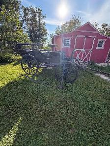 horse drawn Democrat - Photo 4