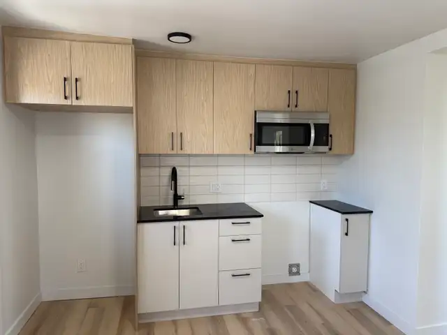 Superbe 4 1/2, entièrement rénové à neuf, St-Sauveur Libre