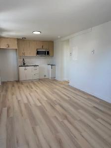 Superbe 4 1/2, entièrement rénové à neuf, St-Sauveur Libre - Photo 2