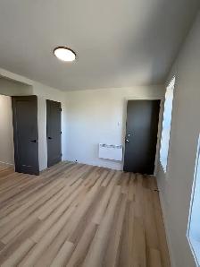 Superbe 4 1/2, entièrement rénové à neuf, St-Sauveur Libre - Photo 6