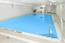 2 Bedroom Apartment in Ottawa West for November - Photo 3