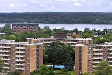 1 Bedroom Apartment in Ottawa West for October - Photo 4