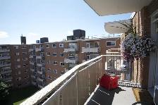 1 Bedroom Apartment in Ottawa West for October or November - Photo 3