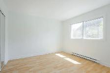 41/2,2,chambres,bedrooms,louer,rent,Mont-Saint-Hilaire - Photo 8