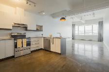 2 1/2, Studio,2.5, a louer, for rent, à Montréal, Mile-End