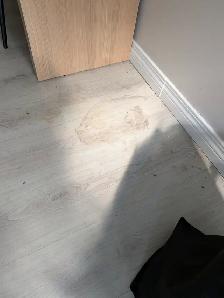 Cleaning service - Photo 2