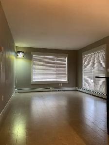2 bedroom 1 bathroom condo for rent in Skyview North East - Photo 6