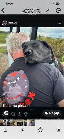 Dog Training and Trainers for Busy People - Photo 2