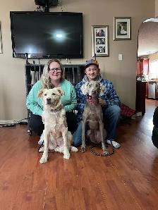Dog Training and Trainers for Busy People - Photo 8