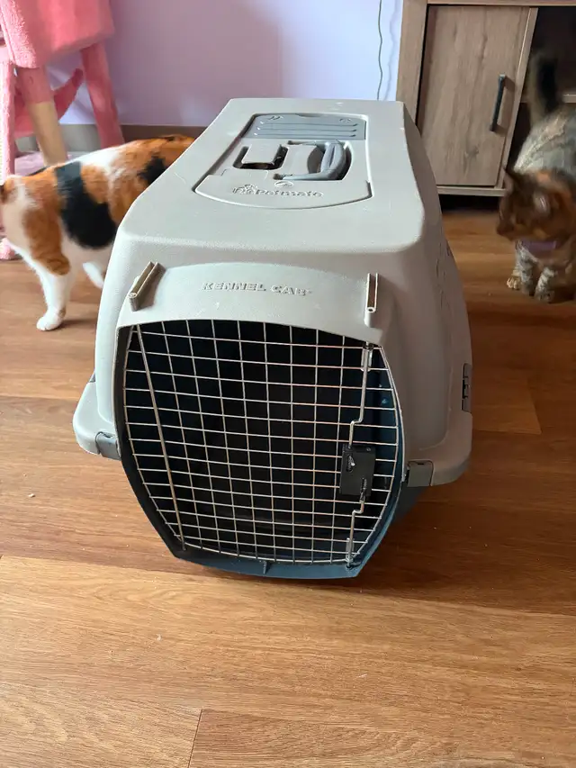 Pet Carrier