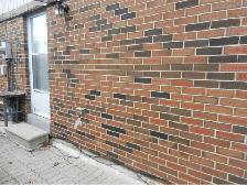 FULLY RENOVATED APARTMENT IN BASEMENT FOR RENT in Scarborough