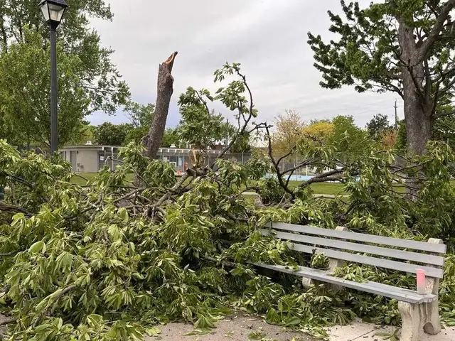 ️ POST-STORM CLEANUP AVAILABLE! ️