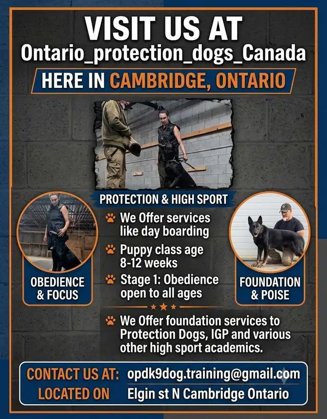 OPDK9 Canada Dog Training