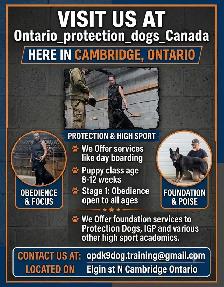 OPDK9 Canada Dog Training