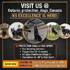 OPDK9 Canada Dog Training - Photo 2