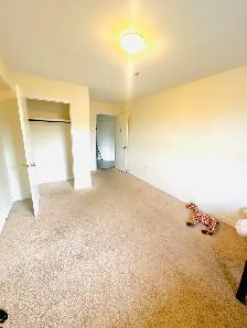 One bedroom with Private bathroom - Photo 3