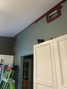 L/F experienced painter